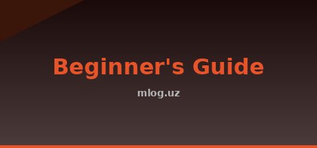 Beginner's Guide