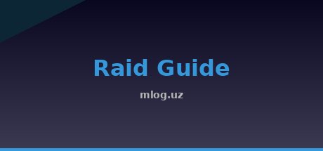 Raid Guide