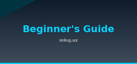 Beginner's Guide