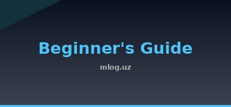 Beginner's Guide