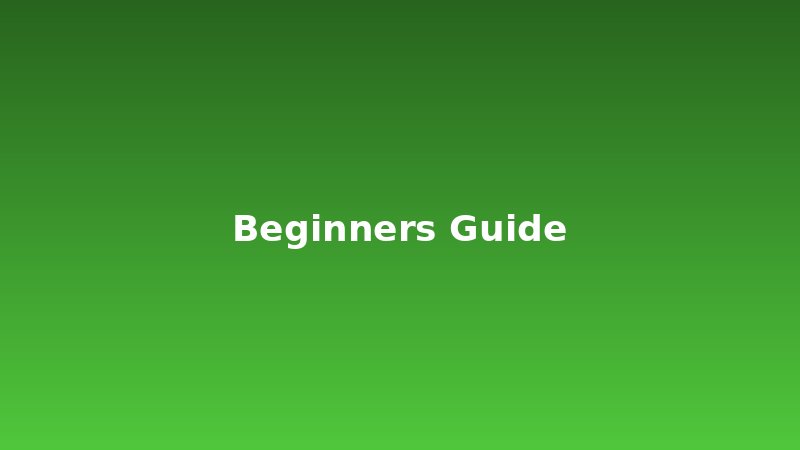 Beginner's Guide