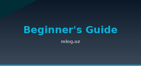 Beginner's Guide