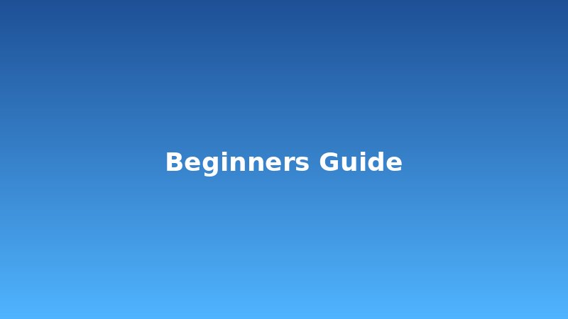 Beginner's Guide