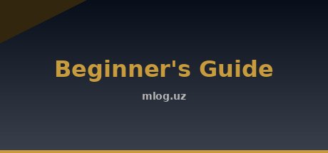 Beginner's Guide