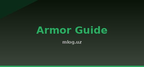 Armor Guide
