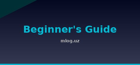 Beginner's Guide
