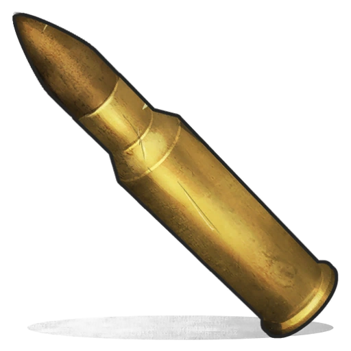 Rifle Ammo