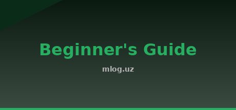 Beginner's Guide