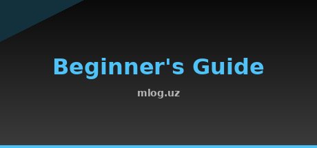 Beginner's Guide