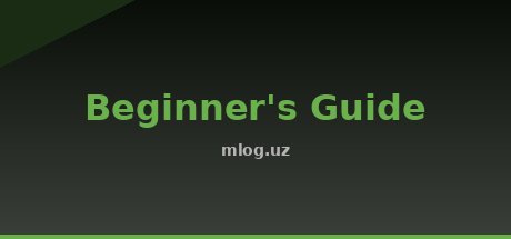 Beginner's Guide