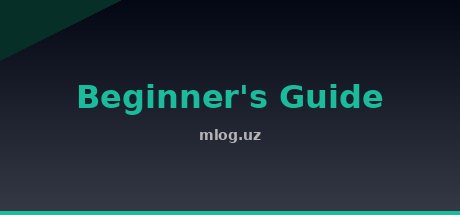 Beginner's Guide
