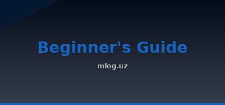 Beginner's Guide