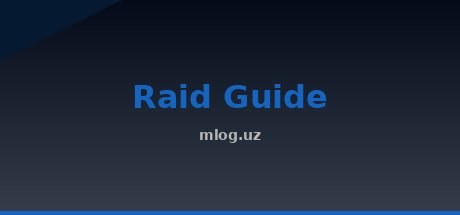 Raid Guides